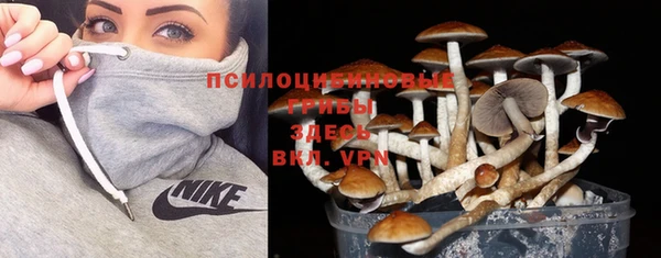 первитин Покачи